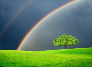 RAINBOW IN GREEN FIELD