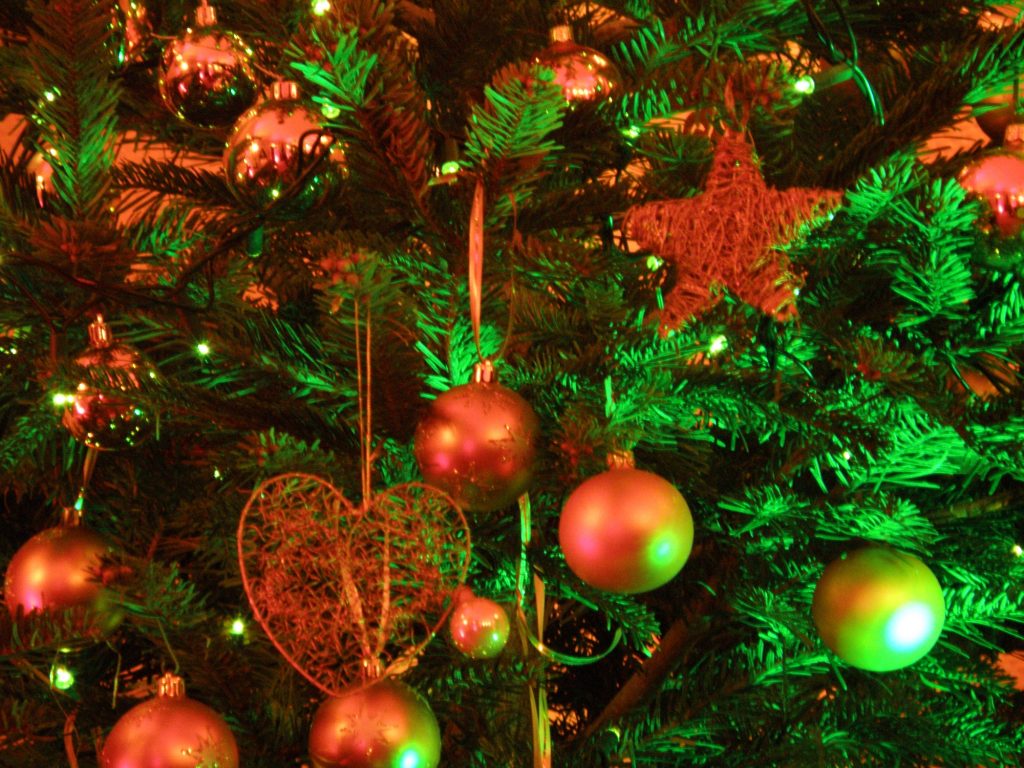 christmas_tree_2008